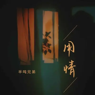 用情 (DJ沈念版) - 半吨兄弟封面