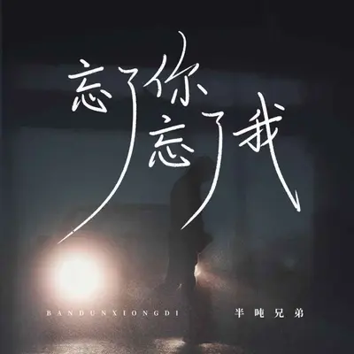 忘了你忘了我 (DJ九零版) - 半吨兄弟封面