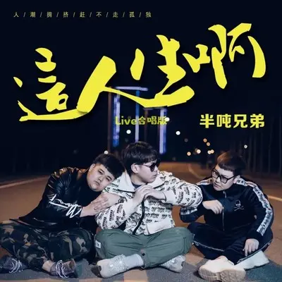这人生啊(Live合唱版)封面