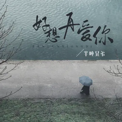好想再爱你 (DJ R7版) - 半吨兄弟封面