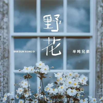 野花封面