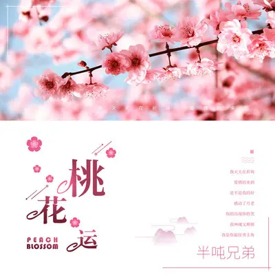 桃花运 (和声伴奏) - 半吨兄弟封面