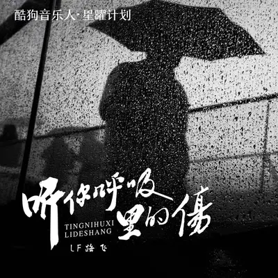 听(完整版)封面