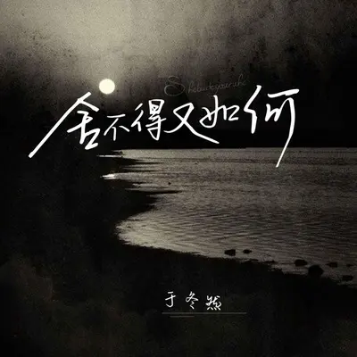 舍不得又如何（DJ阿哲版）封面