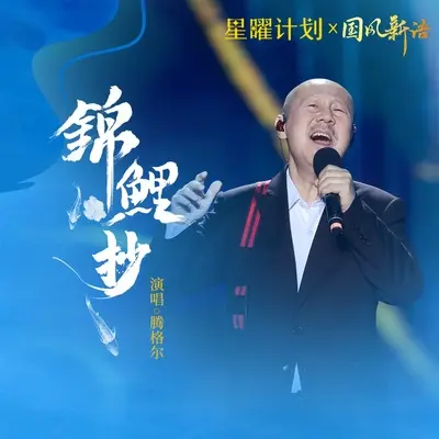 锦鲤抄封面