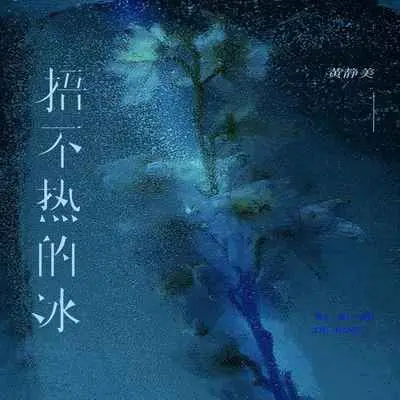 捂不热的冰 - 黄静美封面