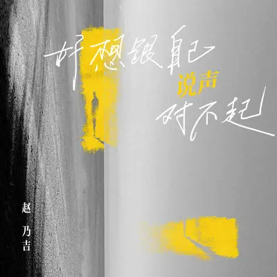 好想跟自己说声对不起封面