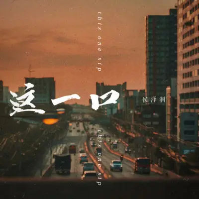 这一口（DJ老鹏版）封面