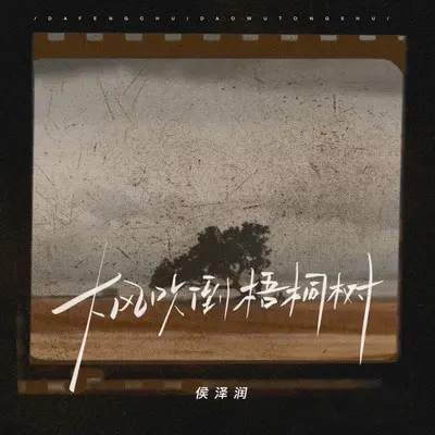 大风吹倒梧桐树+一句好男儿志在四方封面