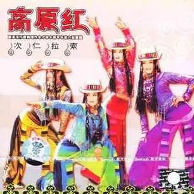 采花封面
