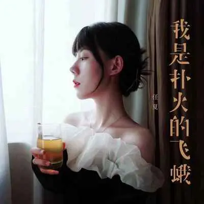 我是扑火的飞蛾(DJEva版) - 任夏封面