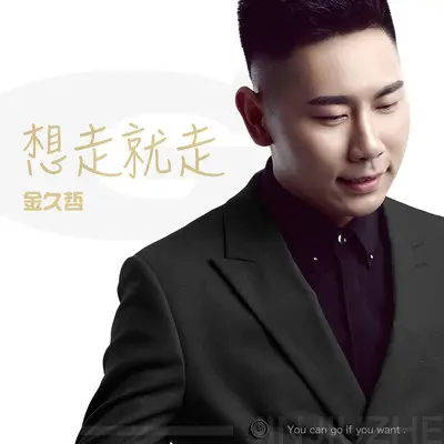 想走就走封面