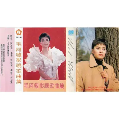 爱的旅程 - 毛阿敏封面