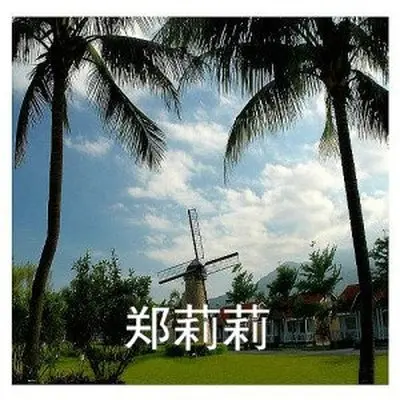 中国之约封面