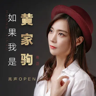 如果我是黄家驹 (语言版)封面
