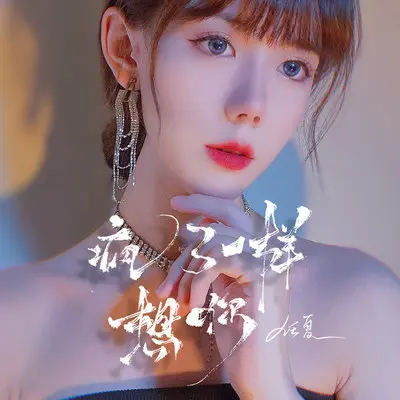 疯了一样想你（DJ Eva版）封面