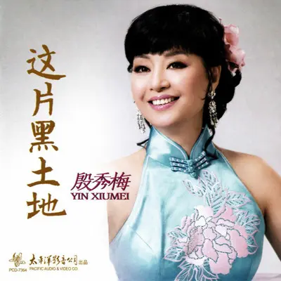 共筑中国梦 - 殷秀梅封面