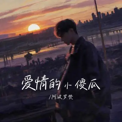 爱情的索嗨(爱情的小傻瓜)封面