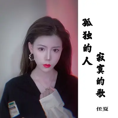孤独的人寂寞的歌(DJ武圣雄版) (伴奏)封面