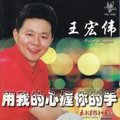花儿为什么这样红 - 王宏伟封面