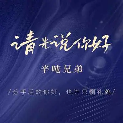请先说你好 (氛围版)封面