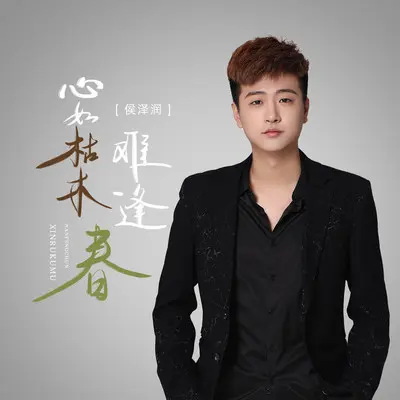 心如枯木难逢春(DJ刘雅松版)封面