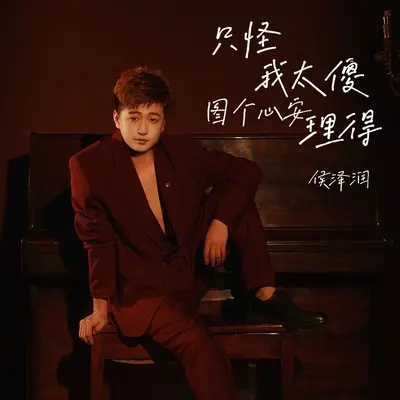 只怪我太傻图个心安理得 (DJ阿本版伴奏)封面
