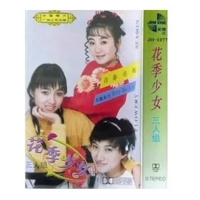 成长的感觉封面
