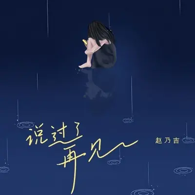 说过了再见 (DJ九零版)封面
