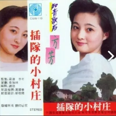 只盼人间真情在封面