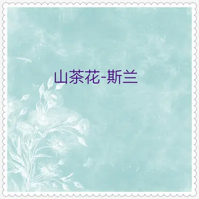 踏浪封面