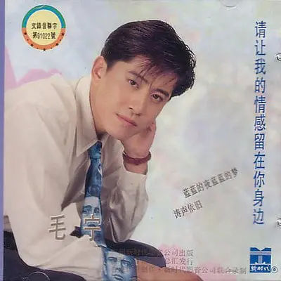 等你在老地方(电视剧《外来妹》主题曲) - 毛宁封面