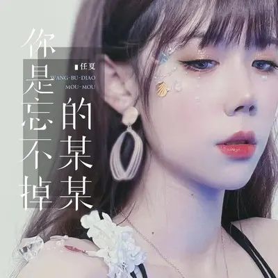 你是忘不掉的某某(DJ Eva版)封面
