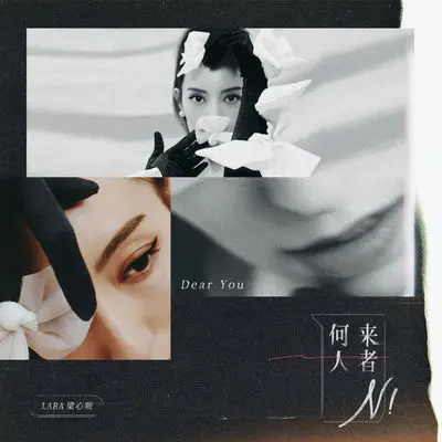 可惜不爱了封面