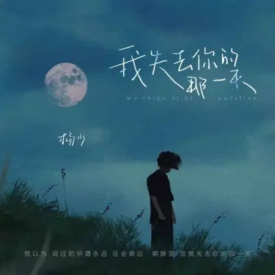 我失去你的那一天封面