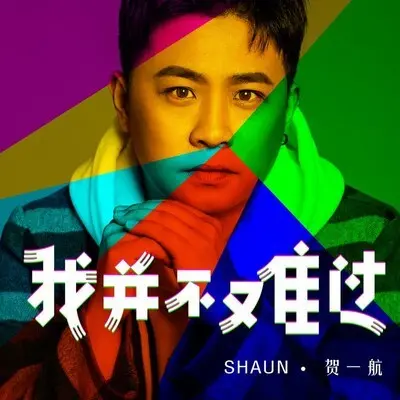 我并不难过封面