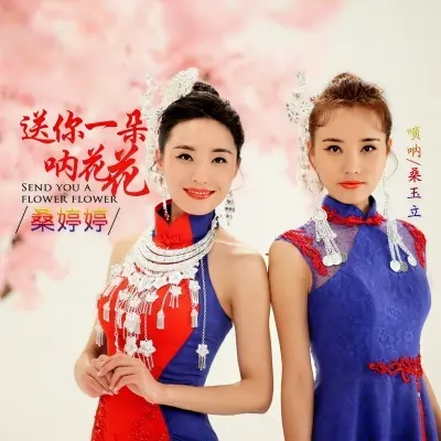 送你一朵呐花花 - 桑婷婷封面