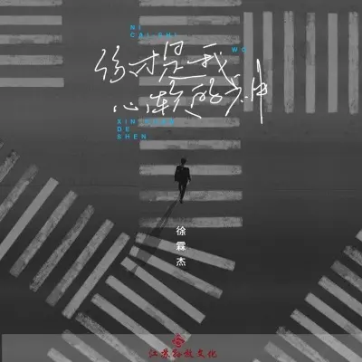 你才是我心软的神 (完整版)封面