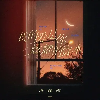 我的爱是你炫耀的资本 (完整版)封面