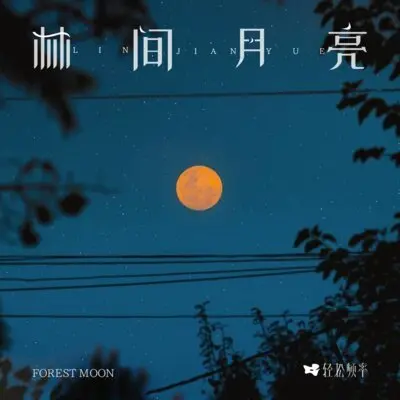 黑夜里封面