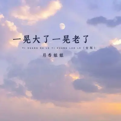 一晃大了一晃老了 (Live合唱版)封面