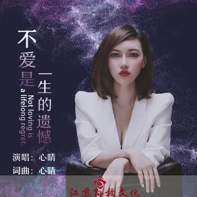 不爱是一生的遗憾封面