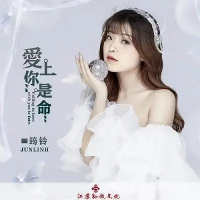 爱上你是命封面