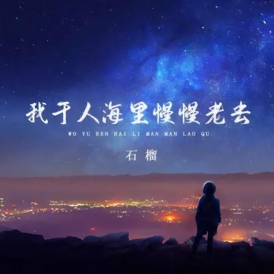 我于人海里慢慢老去封面