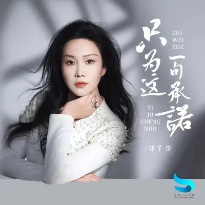 只为这一句承诺 (DJ翊轩版)封面