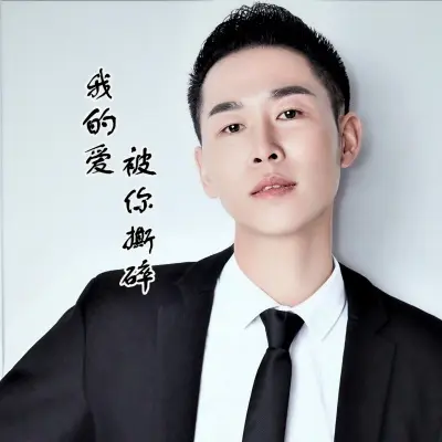 我的爱被你撕碎封面