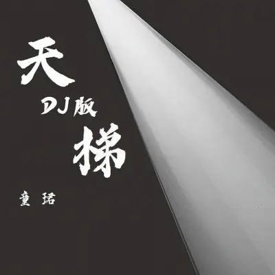天梯 (DJ版)封面