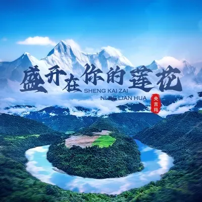 盛开在你的莲花封面