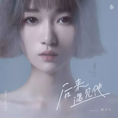 后来遇见他 (0.9x)封面