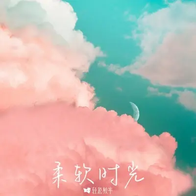 风轻云净封面